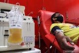 Pasien sembuh COVID-19 mendonorkan plasma darahnya di Unit Tranfusi Darah (UTD) PMI Sidoarjo, Jawa Timur, Sabtu (29/8/2020). Pengambilan Plasma konvalesen atau plasma darah dari pasien yang sembuh COVID-19 yang menggunakan alat apheresis tersebut bertujuan untuk membantu penyembuhan dan terapi pasien terkonfirmasi COVID-19. Antara Jatim/Umarul Faruq/zk