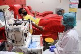 Pasien sembuh COVID-19 mendonorkan plasma darahnya di Unit Tranfusi Darah (UTD) PMI Sidoarjo, Jawa Timur, Sabtu (29/8/2020). Pengambilan Plasma konvalesen atau plasma darah dari pasien yang sembuh COVID-19 yang menggunakan alat apheresis tersebut bertujuan untuk membantu penyembuhan dan terapi pasien terkonfirmasi COVID-19. Antara Jatim/Umarul Faruq/zk