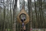 Wisatawan berpose di kawasan Kamojang Ecopark, Samarang, Kabupaten Garut, Jawa Barat, Sabtu (29/8/2020). Dalam situasi Pandemi COVID-19, pihak wisata mengurangi kapasitas pengunjung maksimal 25 persen atau 300 orang per hari dibanding sebelum pandemi sebanyak 1200 orang perharinya. ANTARA JABAR/Candra Yanuarsyah/agr