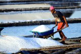 Petani memanen garam di Desa Bunder, Pamekasan, Jawa Timur, Senin (31/8/2020). Dalam beberapa pekan terakhir harga garam di Madura naik dari Rp250 000 per ton menjadi Rp300.000 hingga Rp400.000 per ton. Antara Jatim/Saiful Bahri/zk.