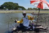Sejumlah orang memancing ikan di Waduk Notopuro dengan kondisi sebagian dasar waduk mengering dan ditumbuhi rumput di Kabupaten Madiun, Jawa Timur, Selasa (1/9/2020). Waduk yang memiliki daerah irigasi sawah seluas 2.689 hektare tersebut volume airnya menyusut hingga sebagian dasar waduk mengering dan berhenti mengeluarkan air melalui pintu waduk untuk irigasi. Antara Jatim/Siswowidodo/zk