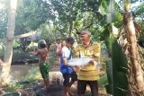 DPRD Kapuas dorong masyarakat budidayakan ikan patin