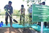 Mentan Pertanian Syahrul Yasin Limpo (kiri) bersama Dirut Petrokimia Gresik Dwi Satriyo Annurogo (kedua kiri) menanam pohon Dewandaru di area Petrokimia Gresik, Jawa Timur, Jumat (4/9/2020). Kunjungan Syahrul Yasin Limpo tersebut dalam rangka meninjau ketersediaan pupuk bersubsidi yang akan disalurkan ke petani. Antara Jatim/Zabur Karuru