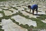 Pekerja menjemur kulit sapi untuk pembuatan kerupuk kulit dan kikil di Cilawu, Kabupaten Garut, Jawa Barat, Jumat (4/9/2020). Menteri Keuangan Sri Mulyani menyatakan pemerintah tidak akan menanggung pajak penghasilan (PPh) Pasal 21 atau pajak gaji karyawan pada tahun 2021 mendatang guna memfokuskan pemulihan ekonomi melalui pemberian insentif yang terukur. ANTARA JABAR/Candra Yanuarsyah/agr