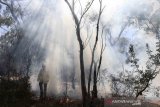 Kebakaran di Australia ancam permukiman di Warisan Dunia Pulau Fraser