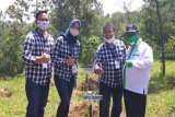 Bank Jateng dukung program tanam 5.000 pohon Kopi Arabika di Wonogiri