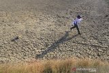 Seorang anak bermain di areal lahan tambak ikan yang mengering di desa Pabean Udik, Indramayu, Jawa Barat, Kamis (10/9/2020). Petambak terpaksa membiarkan tambaknya mengering karena kualitas air saat musim kemarau yang buruk disebabkan meningkatnya kadar garam sehingga bisa menyebabkan kematian ikan. ANTARA JABAR/Dedhez Anggara/agr