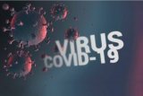 Bicara pelan-pelan agar partikel virus corona tak terlalu tersebar