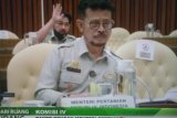 Kementan targetkan produksi padi capai 55,2 juta ton di 2022