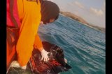 Korban terseret ombak saat selfi di Pantai Tanjung Bongo Loteng ternyata calon siswa bintara polisi