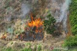 Foto udara kebakaran hutan dan lahan di Pegunungan Meratus, Kabupaten Balangan, Kalimantan Selatan, Selasa (5/9/2020). Berdasarkan data Badan Penanggulangan Bencana Daerah (BPBD) Provinsi Kalimantan Selatan hutan dan lahan yang terbakar mengalami penurunan dibandingkan tahun lalu dari Januari hingga 13 September 2020 mencapai 103,12 hektare dan masih terus meluas. Foto Antaranews Kalsel/Bayu Pratama S.