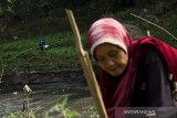 Warga bertani sayuran pada Daerah Aliran Sungai (DAS) Citarum yang surut di kawasan Curug Jompong , Kabupaten Bandung, Jawa Barat, Selasa (15/9/2020). Warga di sekitar kawasan tersebut memanfaatkan lahan DAS Citarum yang surut akibat musim kemarau dengan menanam sejumlah sayuran seperti labu siam, jagung, tomat dan bayam  untuk dikonsomsi serta dijual di sejumlah pasar tradisional. ANTARA JABAR/Novrian Arbi/agr