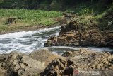 Warga memancing ikan pada aliran sungai yang dipenuhi buih limbah di Daerah Aliran Sungai (DAS) Citarum kawasan Curug Jompong, Kabupaten Bandung, Jawa Barat, Selasa (15/9/2020). Volume debit air yang surut saat musim kemarau di kawasan Curug Jompong tersebut mengakibatkan perubahan warna sungai yang menjadi pekat serta buih limbah kembali menumpuk menutupi permukaan aliran sungai. ANTARA JABAR/Novrian Arbi/agr