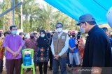Pemerintah siapkan dana tunggu hunian bagi korban banjir Lutra