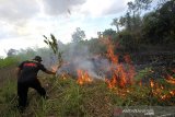 Petugas Badan Penanggulangan Bencana Daerah (BPBD) Kalimantan Selatan berupaya memadamkan api yang membakar semak belukar di Banjarbaru, Kalimantan Selatan, Jumat (18/9/2020). Kebakaran hutan dan lahan (karhutla) di Kalimantan Selatan mulai marak terjadi dalam beberapa hari belakangan ini akibat faktor cuaca panas serta angin kencang yang terjadi di sejumlah kabupaten dan kota. Foto Antaranews Kalsel/Bayu Pratama S.