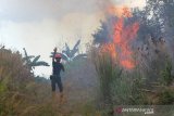 Petugas Badan Penanggulangan Bencana Daerah (BPBD) Kalimantan Selatan berupaya memadamkan api yang membakar semak belukar di Banjarbaru, Kalimantan Selatan, Jumat (18/9/2020). Kebakaran hutan dan lahan (karhutla) di Kalimantan Selatan mulai marak terjadi dalam beberapa hari belakangan ini akibat faktor cuaca panas serta angin kencang yang terjadi di sejumlah kabupaten dan kota. Foto Antaranews Kalsel/Bayu Pratama S.