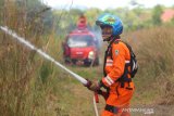 Petugas Badan Penanggulangan Bencana Daerah (BPBD) Kalimantan Selatan berupaya memadamkan api yang membakar semak belukar di Banjarbaru, Kalimantan Selatan, Jumat (18/9/2020). Kebakaran hutan dan lahan (karhutla) di Kalimantan Selatan mulai marak terjadi dalam beberapa hari belakangan ini akibat faktor cuaca panas serta angin kencang yang terjadi di sejumlah kabupaten dan kota. Foto Antaranews Kalsel/Bayu Pratama S.