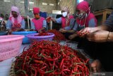 Pekerja menyiapkan cabai sebagai bahan baku sambal pecel ke dalam plastik di Kelurahan Betet, Kota Kediri, Jawa Timur, Jumat (18/9/2020). Sambal pecel yang secara parktis dapat dipadukan dengan berbagai macam makanan tersebut saat pandemi COVID-19 mengalami kenaikan produksi dari sebelumnya 50 kilogram per hari menjadi 1 kuintal per hari dengan harga tetap Rp40 ribu per kilogram. Antara Jatim/Prasetia Fauzani/zk