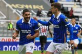 Brighton cukur Newcastle tiga gol