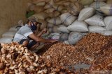 Petani memilah biji kakao di Kare, Kabupaten Madiun, Jawa Timur, Rabu (23/9/2020). Menurut petani tersebut harga biji kakao kering mengalami kenaikan dari sebelumnya Rp16 ribu-Rp17 ribu menjadi Rp23 ribu-Rp24 ribu per kilogram tergantung kualitas, yang menurut petani karena harga pembelian dari tengkulak dan pedagang asal Yogyakarta juga mengalami kenaikan. Antara Jatim/Siswowidodo/zk.