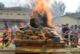 Personil gabungan Polri, TNI, BNN, Kejaksaan Negeri dan Bea Cukai bersiap memusnahkan narkotika jenis ganja dengan cara dibakar di Polda Aceh, Banda Aceh, Aceh, Rabu (23/9/2020). Polda Aceh memusnahkan barang bukti tindak kejahatan narkotika jenis ganja sebanyak 372,571 Kilogram, 80,232 Kilogram sabu, dan 27.400 butir ekstasi yang merupakan hasil penindakan di seluruh Aceh tahun 2020. Antara Aceh/Ampelsa.