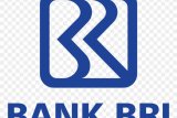 BRI Jayapura klaim kebijakan restrukturisasi OJK bantu nasabah