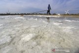 Petambak memanen garam di Losarang, Indramayu, Jawa Barat, Sabtu (26/9/2020). Petambak di daerah tersebut mengeluhkan produksi garam tahun ini menurun akibat musim kemarau basah. ANTARA JABAR/Dedhez Anggara/agr