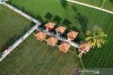 Foto aerial objek wisata sawah di Desa Huntu Selatan, Kabupaten Bone Bolango, Gorontalo. Wisata sawah tersebut menawarkan pemandangan hamparan sawah hijau, dari atas jembatan sepanjang 250 meter dan dikelola oleh kelompok sadar wisata (pokdarwis) setempat dengan harga tiket masuk sebesar Rp5.000 per orang. (ANTARA FOTO/Adiwinata Solihin)