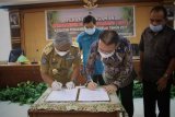 Pemprov Sulbar mulai kembangkan tanaman kedelai 50.000 hektare