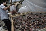 Pekerja menyelesaikan proses fermentasi kopi wine di Pasirwangi, Kabupaten Garut, Jawa Barat, Selasa, (29/9/2020). Pengolahan fermentasi kopi wine jenis arabika tersebut diproses secara fermentasi selama 20 hari sehingga menciptakan rasa unik menyerupai aroma wine dan dijual Rp250 ribu per kilo gram. ANTARA JABAR/Candra Yanuarsyah/agr