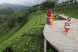 Pengunjung menikmati pemandangan alam di kawasan wisata kebun teh dan candi Sirah Kencong, Desa Ngadirenggo, Blitar, Jawa Timur, Selasa (29/9/2020). Wisata alam kebun teh dan candi di lereng gunung Butak tersebut kembali dibuka setelah ditutup selama lima bulan karena pandemi COVID-19. Antara Jatim/Prasetia Fauzani/zk.