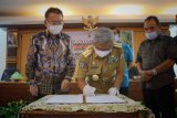 Pemprov Sulbar-PT Dwi Tunggal kembangkan tanaman kedelai
