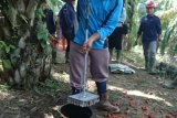 Inovasi mahasiswa IPB raih juara satu kompetisi komersialisasi riset dan teknologi