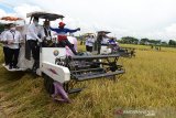 Menteri Pertanian, Syahrul Yasin Limpo (tengah) didampingi Bupati Aceh Besar, Mawardi Ali (kiri) mengoperasikan mesin pemotong padi saat panen raya di Desa Tumbo Baro, Kecamatan Kuta Malaka, Kabupaten Aceh Besar, Aceh, Rabu (30/9/2020). Menteri Pertanian, Syahrul Yasin Limpo menyatakan pemerintah mendorong Aceh terus bersinergi bersama TNI dan Polri fokus pada pembangunan sektor pertanian , mengingat di tengah pandemi COVID-19 perekonomian sektor pertanian mampu tumbuh sekitar 16 persen. Antara Aceh/Ampelsa.