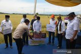 Menteri Pertanian, Syahrul Yasin Limpo (keempat kanan) bersama PLT Gubernur Aceh, Nova Iriansyah (ketiga kanan) Bupati Aceh Besar, Mawardi Ali (kanan) berfoto bersama saat penyerahan secara simbolis bantuan presiden, Joko Widodo berupa sapi untuk petani seusai panen raya secara simbolis di Desa Tumbo Baro, Kecamatan Kuta Malaka, Kabupaten Aceh Besar, Aceh, Rabu (30/9/2020). Selain menyerahkan bantuan presiden seribu ekor sapi untuk kelompok tani, Menteri Pertanian, Syahrul Yasin Limpo juga menyerahkan Kredit, alat mesin pertanian dan bantuan pembukaan lahan sawah baru seluas 50.000 hektare dalam upaya mendukung ketanahan pangan di tengah COVID-19. Antara Aceh/Ampelsa.