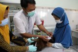 Petugas kesehatan hewan memeriksa seekor kucing sebelum menyuntikkan vaksin rabies gratis bagi hewan peliharaan milik warga dalam rangka Hari Rabies Sedunia di Dinas Pangan dan Pertanian Sidoarjo, Jawa Timur, Kamis (1/10/2020). Dinas Pangan dan Pertanian memberikan vaksin rabies gratis bagi hewan peliharaan milik warga untuk mengantisipasi penyakit rabies. Antara Jatim/Umarul Faruq/zk