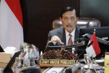 Luhut: Pemerintah reformasi kebijakan untuk tarik lebih banyak investasi