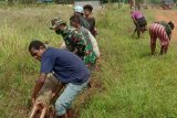 Prajurit TNI bantu warga di perbatasan Kampung Kireli bersihkan jalan