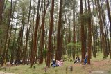 Wisatawan menikmati suasana kawasan hutan pinus Nongko Ijo di lereng Gunung Wilis, Kare, Kabupaten Madiun, Jawa Timur, Minggu (4/10/2020). Pada hari libur objek wisata hutan pinus dengan udaranya yang sejuk tersebut dikunjungi banyak wisatawan dari Madiun dan sekitarnya. Antara Jatim/Siswowidodo/zk