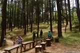 Wisatawan menikmati suasana kawasan hutan pinus Nongko Ijo di lereng Gunung Wilis, Kare, Kabupaten Madiun, Jawa Timur, Minggu (4/10/2020). Pada hari libur objek wisata hutan pinus dengan udaranya yang sejuk tersebut dikunjungi banyak wisatawan dari Madiun dan sekitarnya. Antara Jatim/Siswowidodo/zk