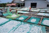 Pekerja menjemur ikan teri nasi di Desa Pegagan, Pamekasan Jawa Timur, Senin (5/10/2020). Dalam satu bulan terakhir tangkapan ikan teri yang diekspor ke Singapura dan Jepang itu, menurun menjadi tiga ton dari biasanya lima ton per hari. Sementara harga komuditas tersebut ditingkat pengepul berkisar Rp100 ribu hingga Rp150 ribu per kg kering. Antara Jatim/Saiful Bahri/zk