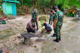 Personel Polri-TNI Biak tanam pohon di pantai segara Indah Bosnik