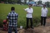 Presiden Jokowi: Air melimpah di