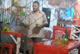 Rdenim Makassar amankan lima orang pencari suaka karena bekerja