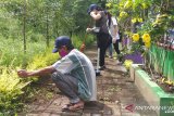 Direktur Kemenparekraf: Pastikan berwisata ke Tomohon aman COVID-19