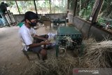 Pekerja membuat tusuk sate dari bambu di Kelompok Tani Hutan (KTH) Lestari Pariangan di Desa Batu Bini Kecamatan Loksado, Kabupaten Hulu Sungai Selatan, Kalimantan Selatan, Minggu (11/10/2020). Pemerintah Provinsi Kalimantan Selatan melalui Dinas Kehutanan Provinsi Kalimantan Selatan memiliki strategi pemanfaatan kawasan hutan dengan konsep pelestarian lingkungan adalah pengembangan Hasil Hutan Bukan Kayu (HHBK), saat ini berbagai produk HHBK mulai dipasarkan melalui pasar online. Foto Antaranews Kalsel/Bayu Pratama S.