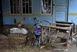 Kondisi rumah yang terdampak banjir bandang luapan sungai Cipalebuh, Desa Mandalakasih, Pameungpeuk, Kabupaten Garut, Jawa Barat, Senin (12/10/2020). Banjir bandang tersebut mengakibatkan enam kecamatan di Garut Selatan terendam banjir. ANTARA JABAR/Candra Yanuarsyah/agr