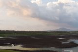 Kondisi Waduk Saradan yang mengering di Kabupaten Madiun, Jawa Timur, Minggu (11/10/2020). Waduk Saradan yang dalam kondisi normal mampu mengairi lahan seluas sekitar seribu hektare tersebut sejak dua minggu terakhir tidak difungsikan untuk irigasi, karena kekeringan di waduk tersebut makin meluas higga airnya tak bisa dialirkan melalui pintu air waduk. Antara Jatim/Siswowidodo/zk