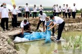 Program Mina Padi diharapkan meningkatkan kesejahteraan petani di Lamandau