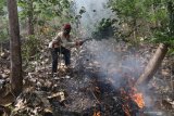 Warga memadamkan api saat simulasi penanganan kebakaran hutan yang diselenggarakan Polresta Kediri di lereng gunung Wilis, Desa Manyaran, Kediri, Jawa Timur, Rabu (14/10/2020). Kegiatan yang melibatkan masyarakat sekitar hutan tersebut sebagai sosialisasi pencegahan kebakaran dan edukasi pentingnya menjaga kelestarian hutan. Antara Jatim/Prasetia Fauzani/zk